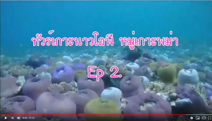 youtube-4